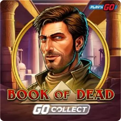 Slot Book of Dead od dostawcy Play'n GO.